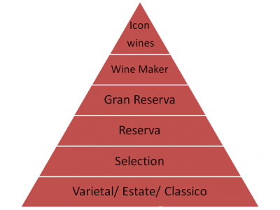 Cách phân biệt đẳng cấp của Rượu vang Chile